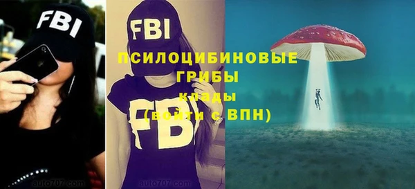 COCAINE Заводоуковск