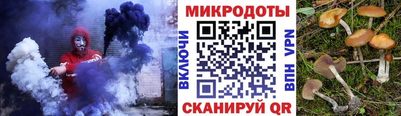 Купить закладки  Камызяк  Галлюциногенные грибы GOLDEN TEACHER 
