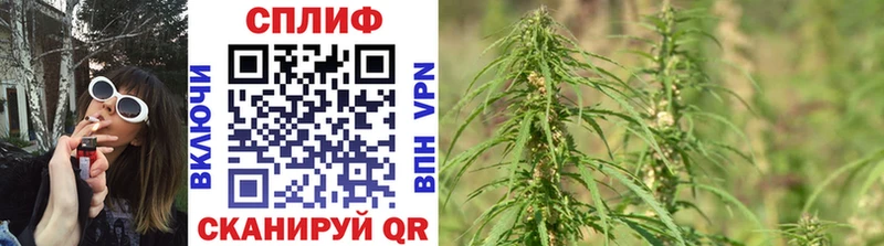 Купить  Камызяк  Конопля VHQ 